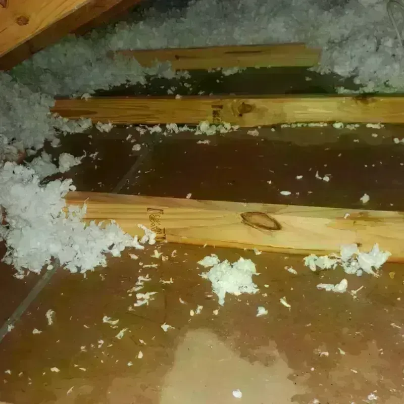 Attic Water Damage in Huber Ridge, OH